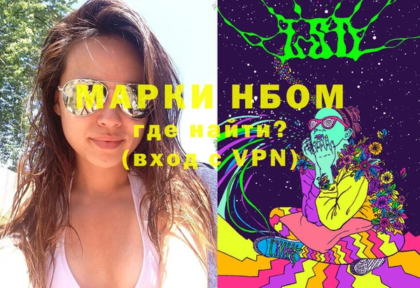 соль ск Вяземский