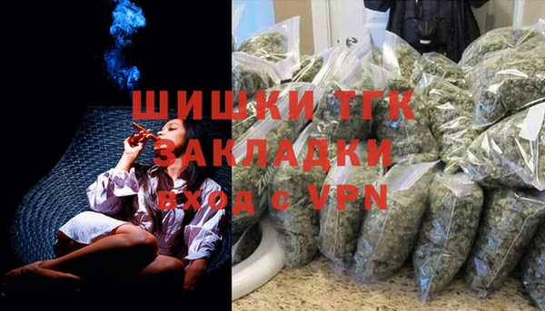 соль ск Вяземский