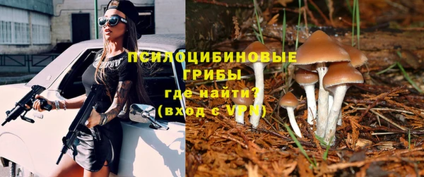 крисы Вязники