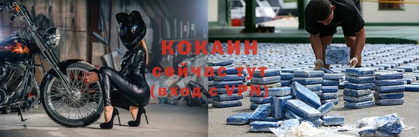 крисы Вязники