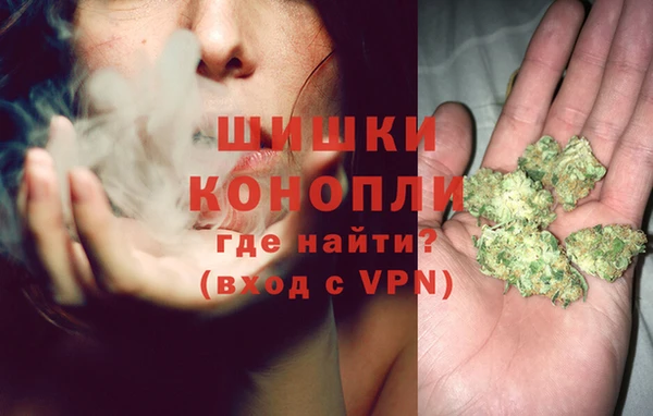 соль ск Вяземский
