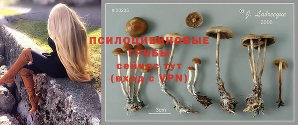 соль ск Вяземский