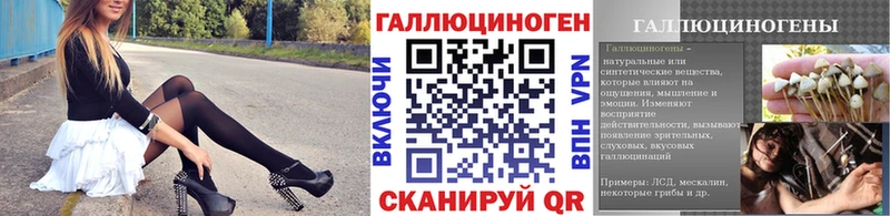 Псилоцибиновые грибы Magic Shrooms Великий Новгород
